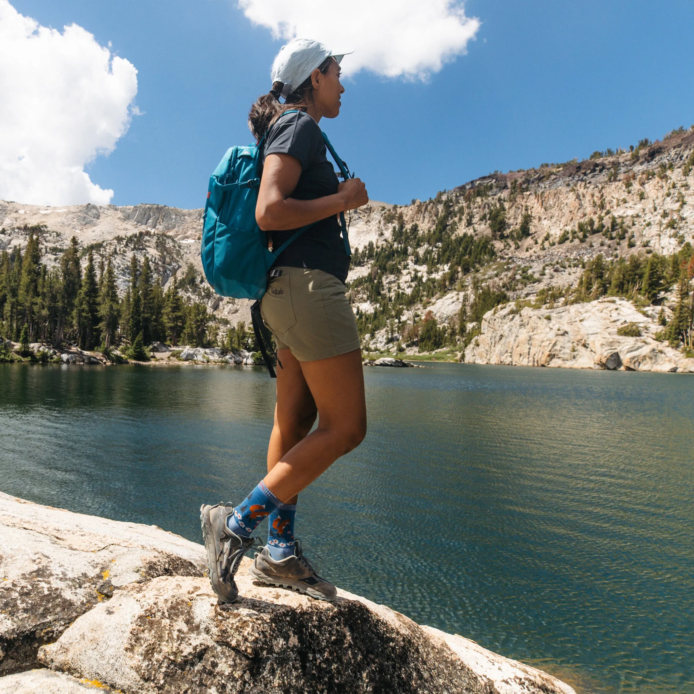 Women's Critter Club Micro Crew  Lightweight Hiking Sock