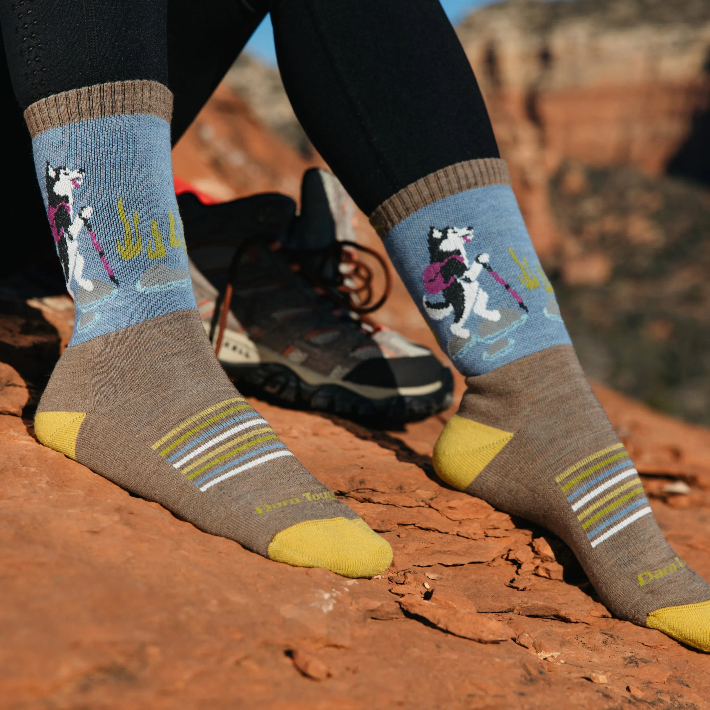 Women's Critter Club Micro Crew  Lightweight Hiking Sock